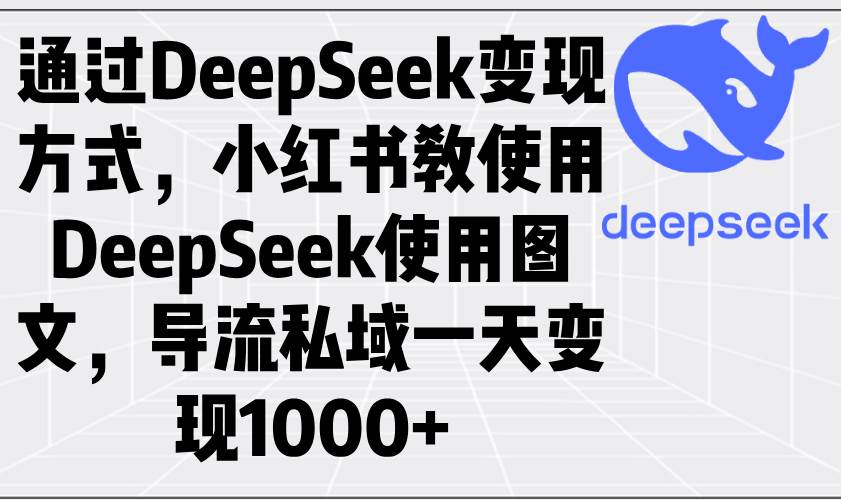 （14179期）通过DeepSeek变现方式，小红书教使用DeepSeek图文，导流私域一天变现1000+-讯领网创