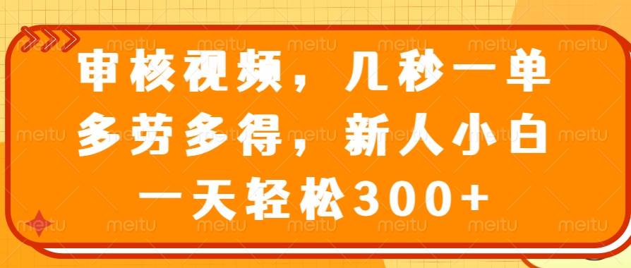 （14294期）审核视频，几秒一单，多劳多得，新人小白一天轻松300+-讯领网创