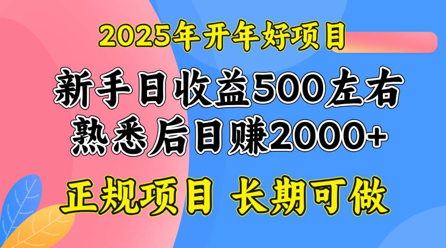 （14076期）2025开年好项目，单号日收益2000左右-讯领网创