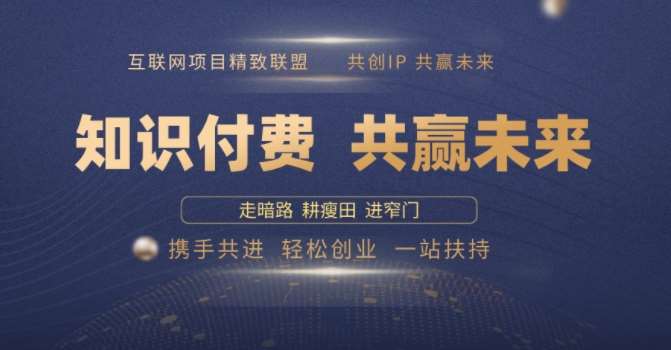 别人苦寻无果，为何他们靠知识付费卖项目 2025 年轻松年入100个?【揭秘】-讯领网创
