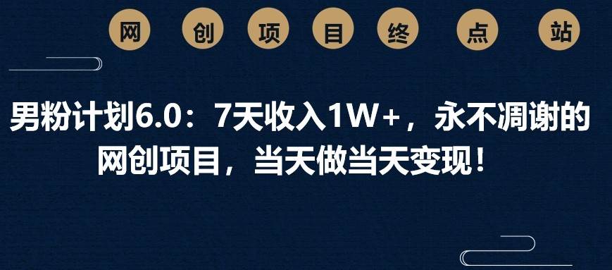 男粉计划6.0：7天收入1W+，永不凋谢的网创项目，当天做当天变现！-讯领网创