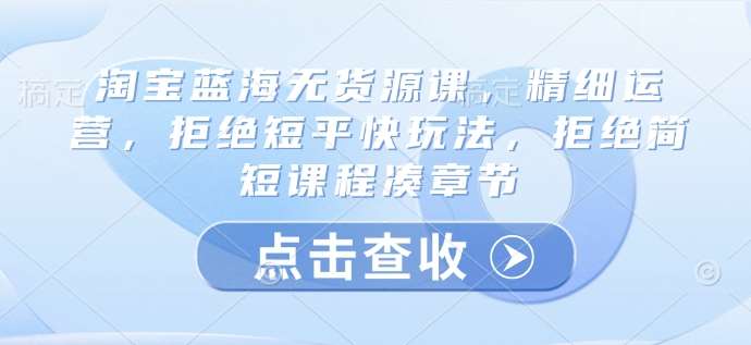 淘宝蓝海无货源课，精细运营，拒绝短平快玩法，拒绝简短课程凑章节-讯领网创