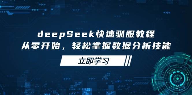 deepSeek快速驯服教程，从零开始，轻松掌握数据分析技能-讯领网创