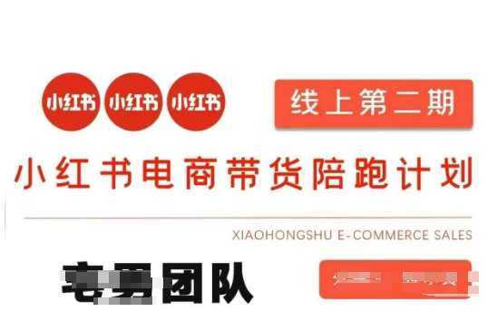 小红书电商带货课2期，月利润20个的小红书电商的有货源，无货源，虚拟产品，付费投流等整套玩法-讯领网创