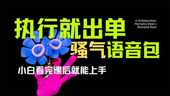 （14170期）爆火全网的开车导航骚气语音包,只要执行就出单，小白看完课程就能实操…-讯领网创