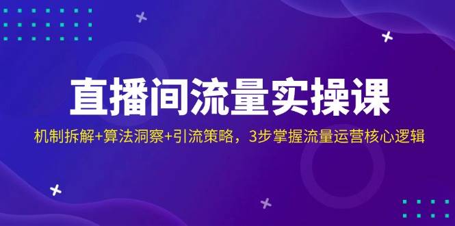 （14122期）直播间流量实操课：机制拆解+算法洞察+引流策略，3步掌握流量运营核心逻辑-讯领网创