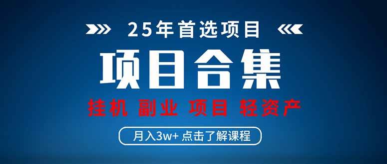 （14175期）2025 实操项目合集 挂机类型 直播类型 轻资产创业类型 课程分享各项目…-讯领网创