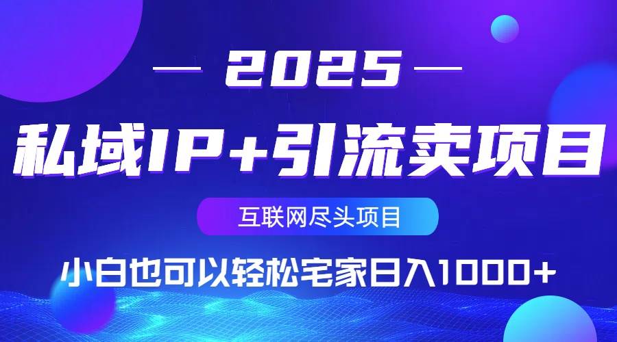（14151期）私域IP+引流卖项目，小白也可以做到轻松宅家日入1000+-讯领网创