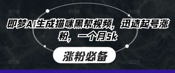 即梦AI生成猫咪黑帮视频，迅速起号涨粉，一个月5k-讯领网创