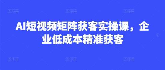 AI短视频矩阵获客实操课，企业低成本精准获客-讯领网创