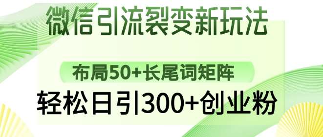 微信引流裂变新玩法：布局50+长尾词矩阵，轻松日引300+创业粉-讯领网创
