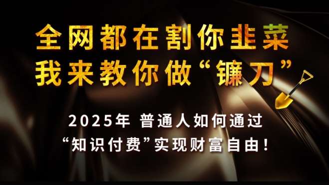 全网都在割你韭菜，我来教你做镰刀,2025普通人如何通过知识付费，实现财F自由【揭秘】-讯领网创