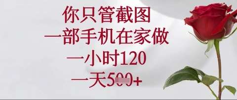 你只管截图，一部手机在家操作，一小时120.一天5张【揭秘】-讯领网创
