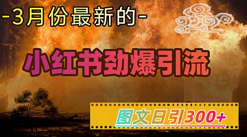 小红书超劲爆引流手段，图文日引300+轻松变现1W-讯领网创