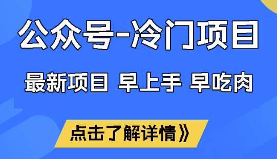 公众号冷门赛道，早上手早吃肉，单月轻松稳定变现1W【揭秘】-讯领网创