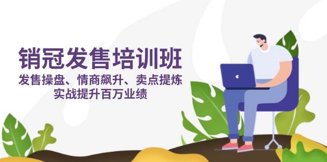 （14203期）销冠 发售培训班：发售 操盘+情商 飙升+卖点 提炼，实战提升百万业绩-讯领网创