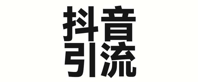 2025年抖音最新暴力引流法，只需一个视频加一段文字，简单操作，单日引300+创业粉-讯领网创