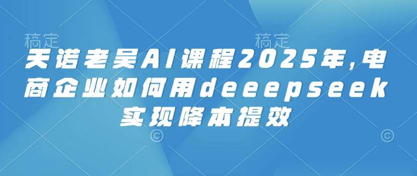 天诺老吴AI课程2025年，电商企业如何用deeepseek实现降本提效-讯领网创