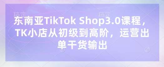 东南亚TikTok Shop3.0课程，TK小店​从初级到高阶，运营出单干货输出-讯领网创