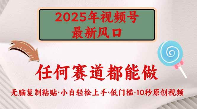 （14453期）2025年视频号新风口，低门槛只需要无脑执行-讯领网创