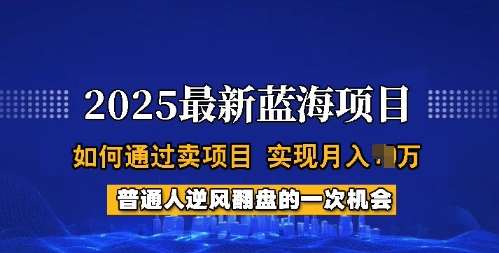 2025蓝海项目，普通人如何通过卖项目，实现月入过W，全过程【揭秘】-讯领网创