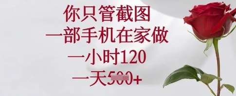 你只管截图，一部手机在家做，一小时120.一天5张【揭秘】-讯领网创