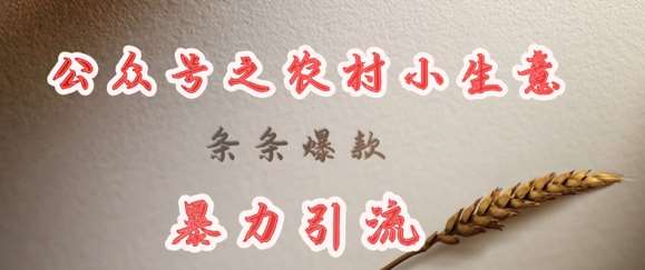 deepseek写农村小项目，条条爆款，暴力引流-讯领网创