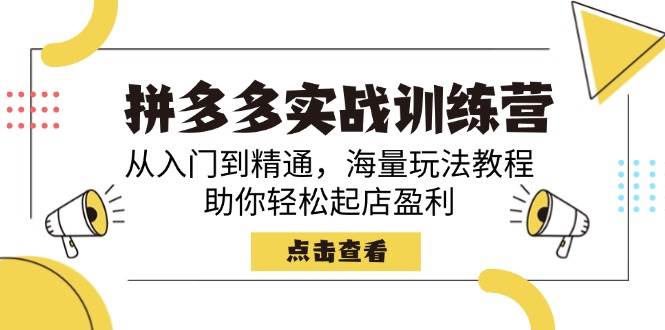 （14392期）拼多多实战训练营，从入门到精通，海量玩法教程，助你轻松起店盈利-讯领网创