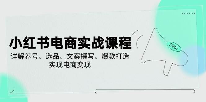 小红书电商实战课程，详解养号、选品、文案撰写、爆款打造，实现电商变现-讯领网创