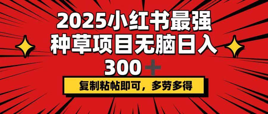 （14375期）2025小红书最强种草项目，无脑日入300+，复制粘帖即可，多劳多得-讯领网创