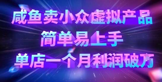 咸鱼卖小众虚拟产品，简单易上手，单店一个月利润破W-讯领网创