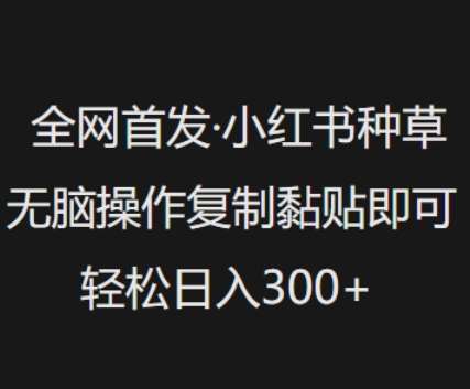 全网首发，小红书种草无脑操作，复制黏贴即可，轻松日入3张-讯领网创