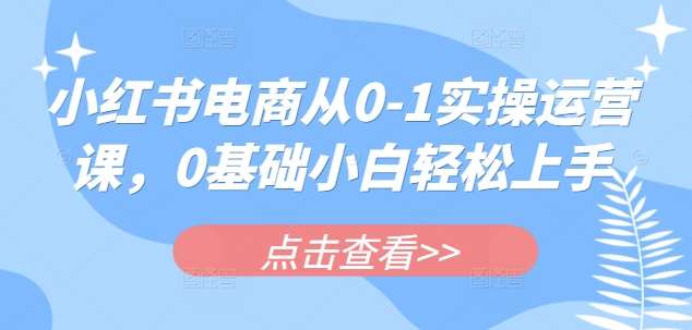 小红书电商从0-1实操运营课，0基础小白轻松上手-讯领网创