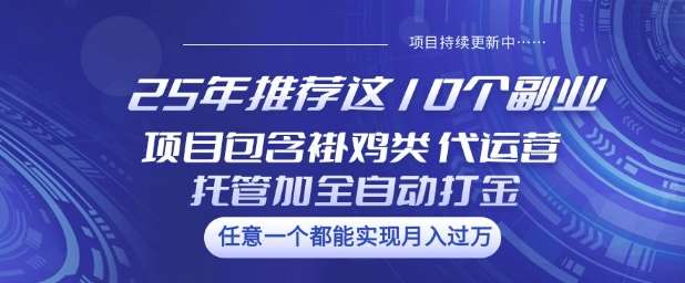 25年推荐这10个副业项目包含褂鸡类、代运营托管类、全自动打金类【揭秘】-讯领网创