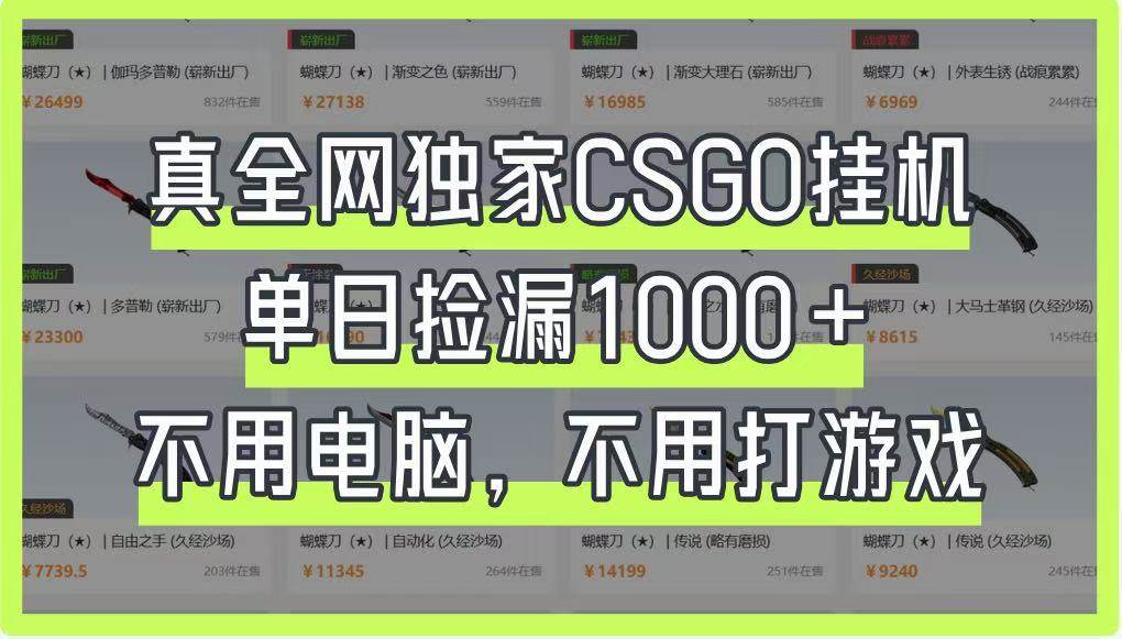 真全网独家CSGO挂机，单日捡漏1000+，不用电脑，不用养号-讯领网创