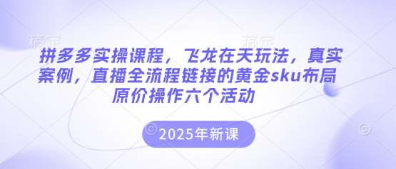 拼多多实操课程，飞龙在天玩法，真实案例，直播全流程链接的黄金sku布局原价操作六个活动-讯领网创