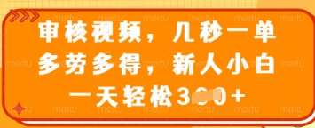 审核视频，几秒一单，多劳多得，新人小白一天轻松3张【揭秘】-讯领网创