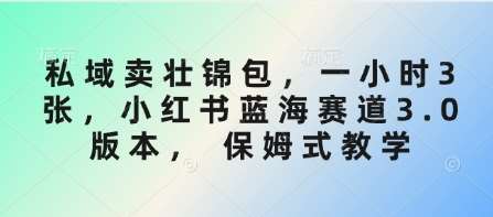 私域卖壮锦包，一小时3张，小红书蓝海赛道3.0版本， 保姆式教学-讯领网创
