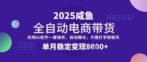 全网首发【闲鱼全自动电商带货】三年磨一剑，一朝露锋芒，单月稳定变现8k+【揭秘】-讯领网创