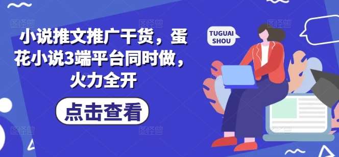 小说推文推广干货，蛋花小说3端平台同时做，火力全开-讯领网创
