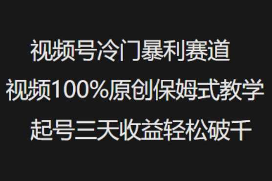 视频号冷门暴利赛道视频100%原创保姆式教学起号三天收益轻松破千-讯领网创