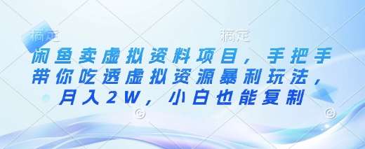 闲鱼卖虚拟资料项目，手把手带你吃透虚拟资源暴利玩法，月入2W，小白也能复制-讯领网创