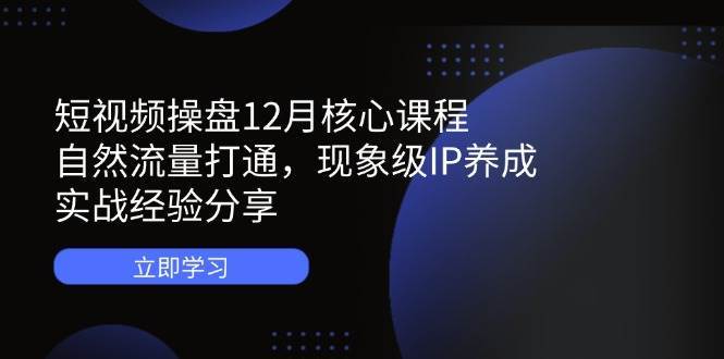 短视频操盘12月核心课程：自然流量打通，现象级IP养成，实战经验分享-讯领网创