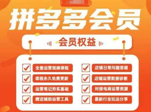 2025拼多多运营实战课，40节全流程教学，覆盖拼多多运营全链路-讯领网创