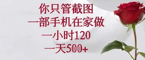 你只管截图，一部手机在家做，苹果安卓都可以，一小时120，一天5张+【揭秘】-讯领网创