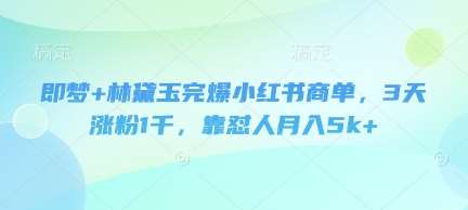 即梦+林黛玉完爆小红书商单，3天涨粉1千，靠怼人月入5k+-讯领网创