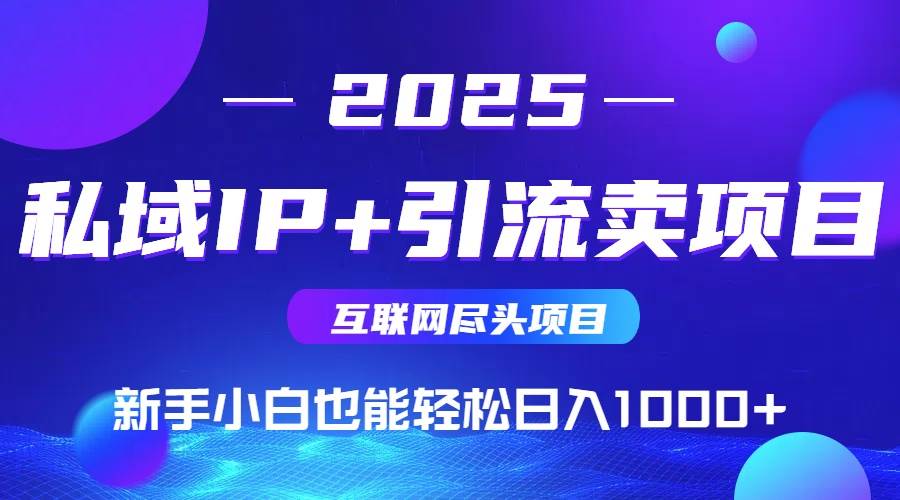 （14613期）私域IP+卖项目，普通人小白也能轻松实现日入1000+-讯领网创