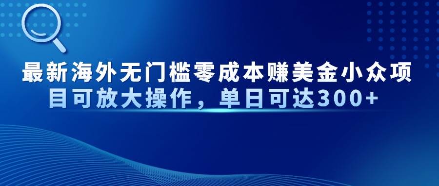 （14542期）最新海外无门槛零成本赚美金小众项目可放大操作，单日可达300+-讯领网创
