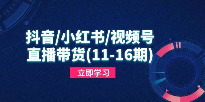 （14611期）抖音/小红书/视频号/直播带货(11-16期)，快速掌握平台规则，打造爆款内容-讯领网创