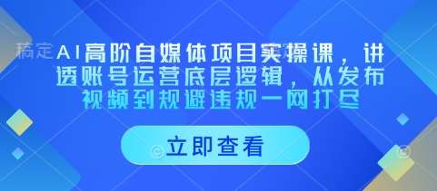 AI高阶自媒体项目实操课，讲透账号运营底层逻辑，从发布视频到规避违规一网打尽-讯领网创